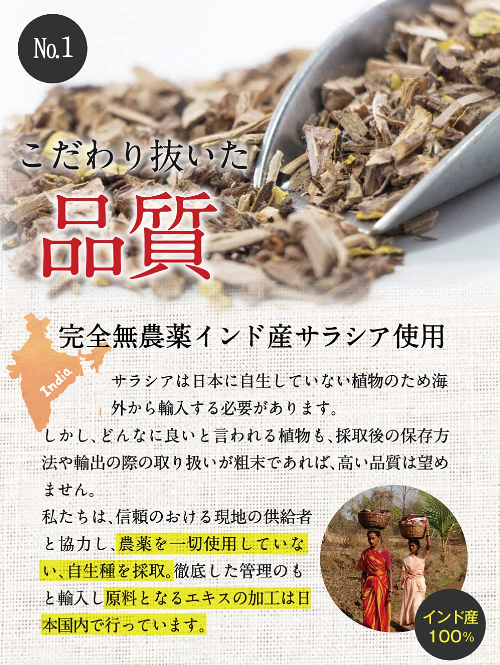 Amazon | ほうじあ茶 スティックタイプ (30本入) ほうじ茶 サラシア茶